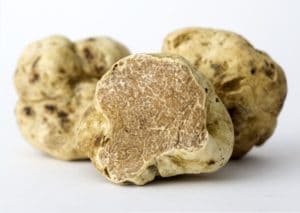 tuber magnatum pico