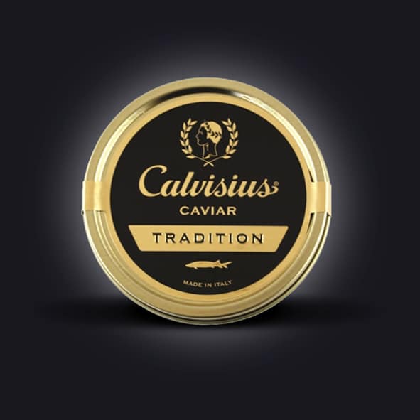 esturgeon blanc calvisius