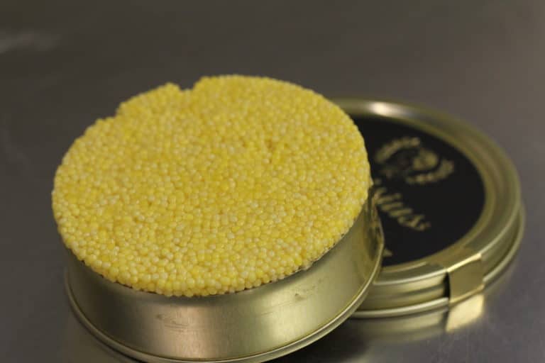 Maison Distrilux, caviar almas albinos sterlet 24 karats, caviar le plus rare au monde, caviar blanc, caviar jaune 24 karats