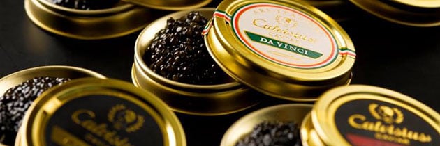 caviar calvisius, permanence distrilux, degustation caviar, comment déguster le caviar, comment deguster du caviar, manger du caviar , manger le caviar, dégustation caviar lyon, caviar et champagne