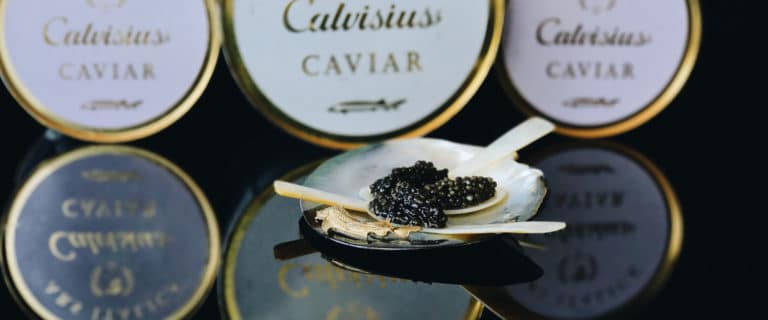 livraison caviar lyon, boutique en ligne caviar et truffe lyon, acheter du caviar lyon, acheter calvisius lyon, prix caviar, acheter caviar, oscietre, beluga, sevruga, livraison caviar techlid, livraison caviar, commande et livraison caviar ouest lyonnais, region lyonnaise, prix caviar, prix du caviar, caviar beluga, livraison caviar, livraison caviar lyon, caviar craponne, caviar brindas, caviar vaugneray, caviar saint-genis-les-ollières, caviar tassin la demi lune, caviar marcy l'étoile, caviar charbonnières les bains, caviar la tour de salvagny, caviar chaponost, caviar messimy, caviar brignais, caviar ecully, caviar limonest, caviar champagne-au-mont-d'or, caviar lozanne, caviar civrieux d'azergues, caviar charly, caviar vernaison, caviar mariage, caviar saint valentin, caviar, st valentin, caviar bonne saint valentin, cadeau original saint valentin caviar, idée cadeau femme homme saint valentin caviar, cadeau saint valentin, idée cadeau homme saint valentin, cadeau couple caviar saint valentin, dégustation de caviar, comment manger le caviar