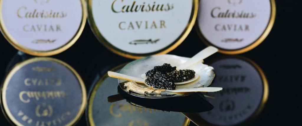 acheter du caviar lyon, acheter calvisius lyon, prix caviar, acheter caviar, oscietre, beluga, sevruga, livraison caviar techlid, livraison caviar, commande et livraison caviar ouest lyonnais, region lyonnaise, prix caviar, prix du caviar, caviar beluga, livraison caviar, livraison caviar lyon, caviar craponne, caviar brindas, caviar vaugneray, caviar saint-genis-les-ollières, caviar tassin la demi lune, caviar marcy l'étoile, caviar charbonnières les bains, caviar la tour de salvagny, caviar chaponost, caviar messimy, caviar brignais, caviar ecully, caviar limonest, caviar champagne-au-mont-d'or, caviar lozanne, caviar civrieux d'azergues, caviar charly, caviar vernaison