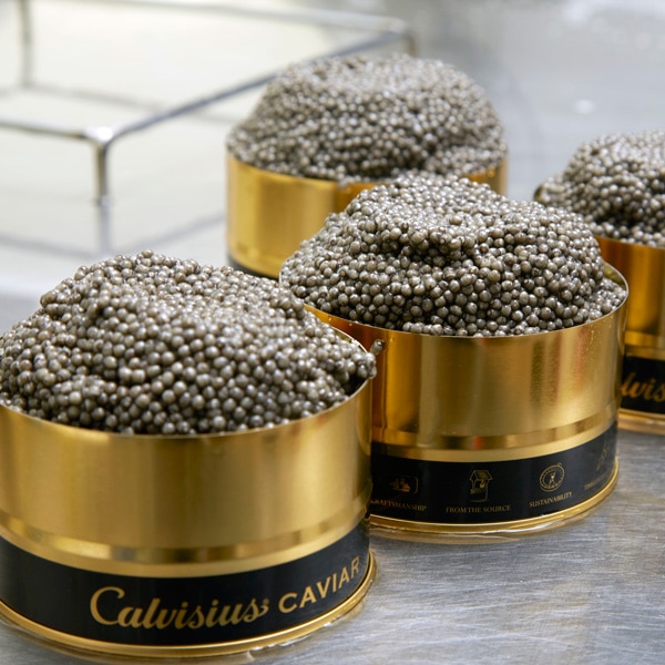 caviar beluga lyon, prix beluga, commande beluga, déguster beluga