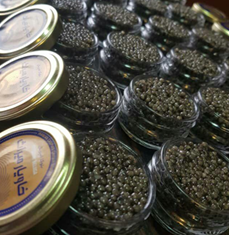 caviar beluga pot en verre, caviar iran, caviar lyon beluga, acheter beluga iran lyon, boutique caviar beluga