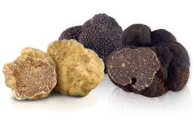 especes truffes